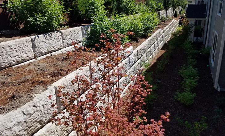 Puyallup Valley Nursery - Washington